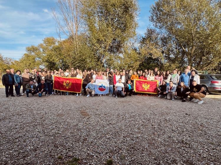 TRADICIONALNI PIKNIK